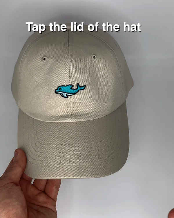 Dolphin Hat