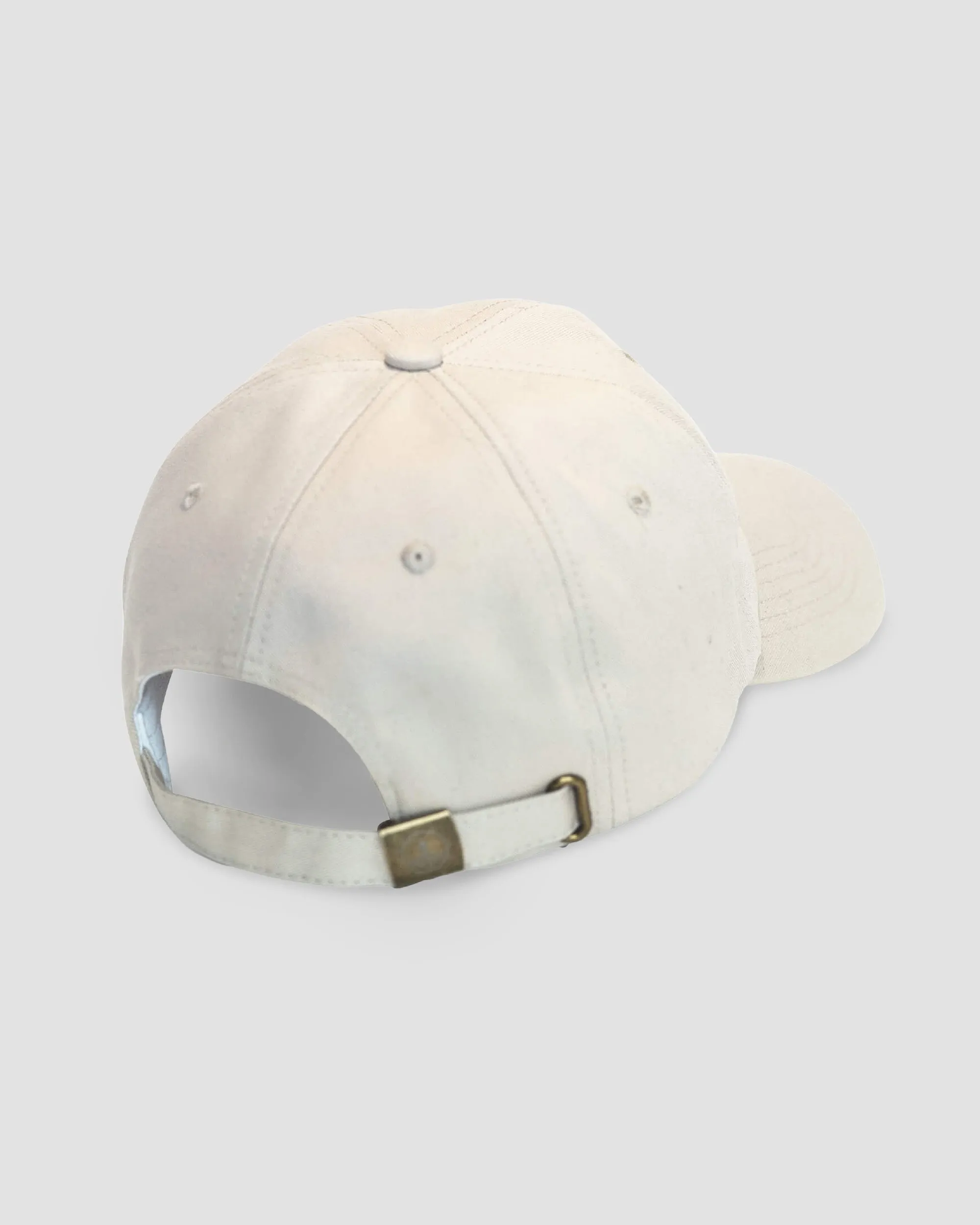 Dolphin Hat