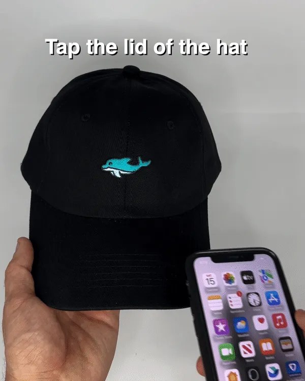 Dolphin Hat