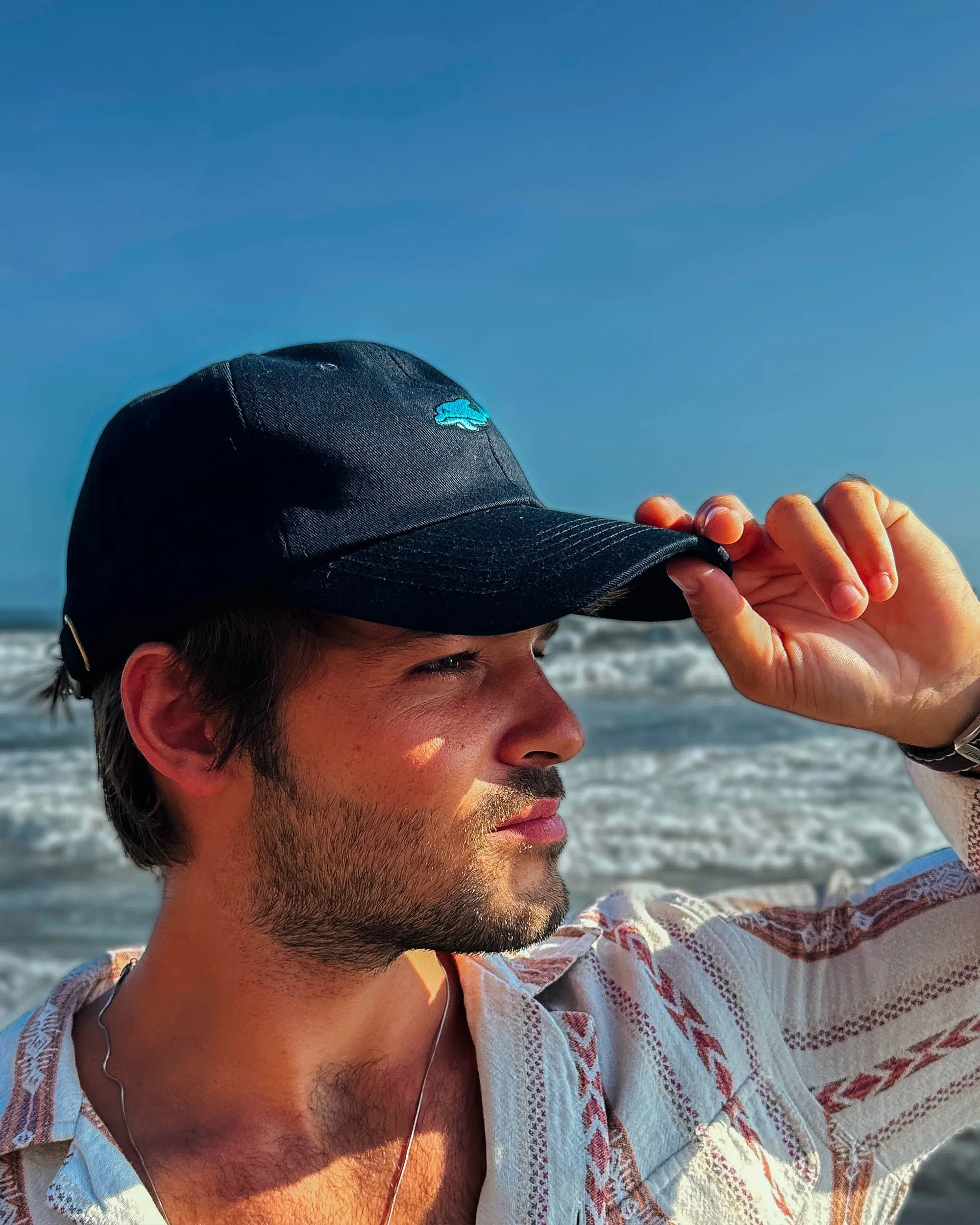 Dolphin Hat