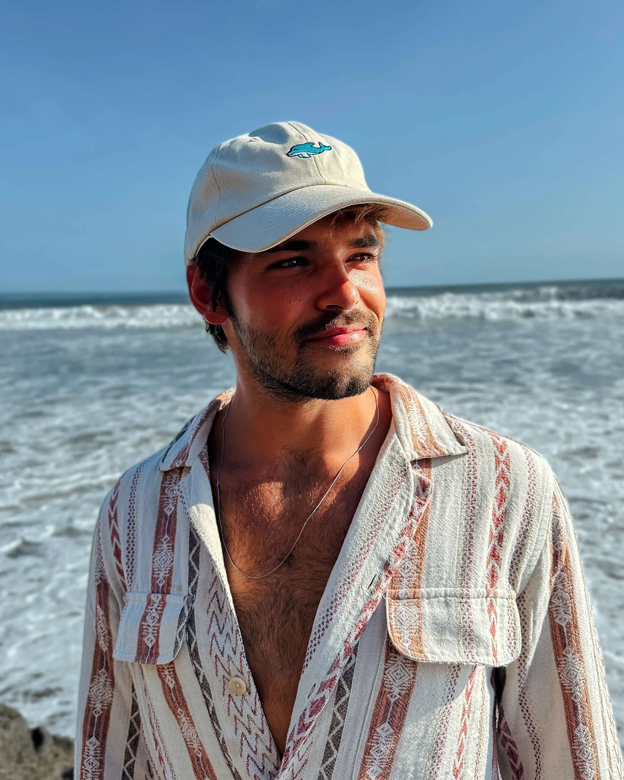 Dolphin Hat