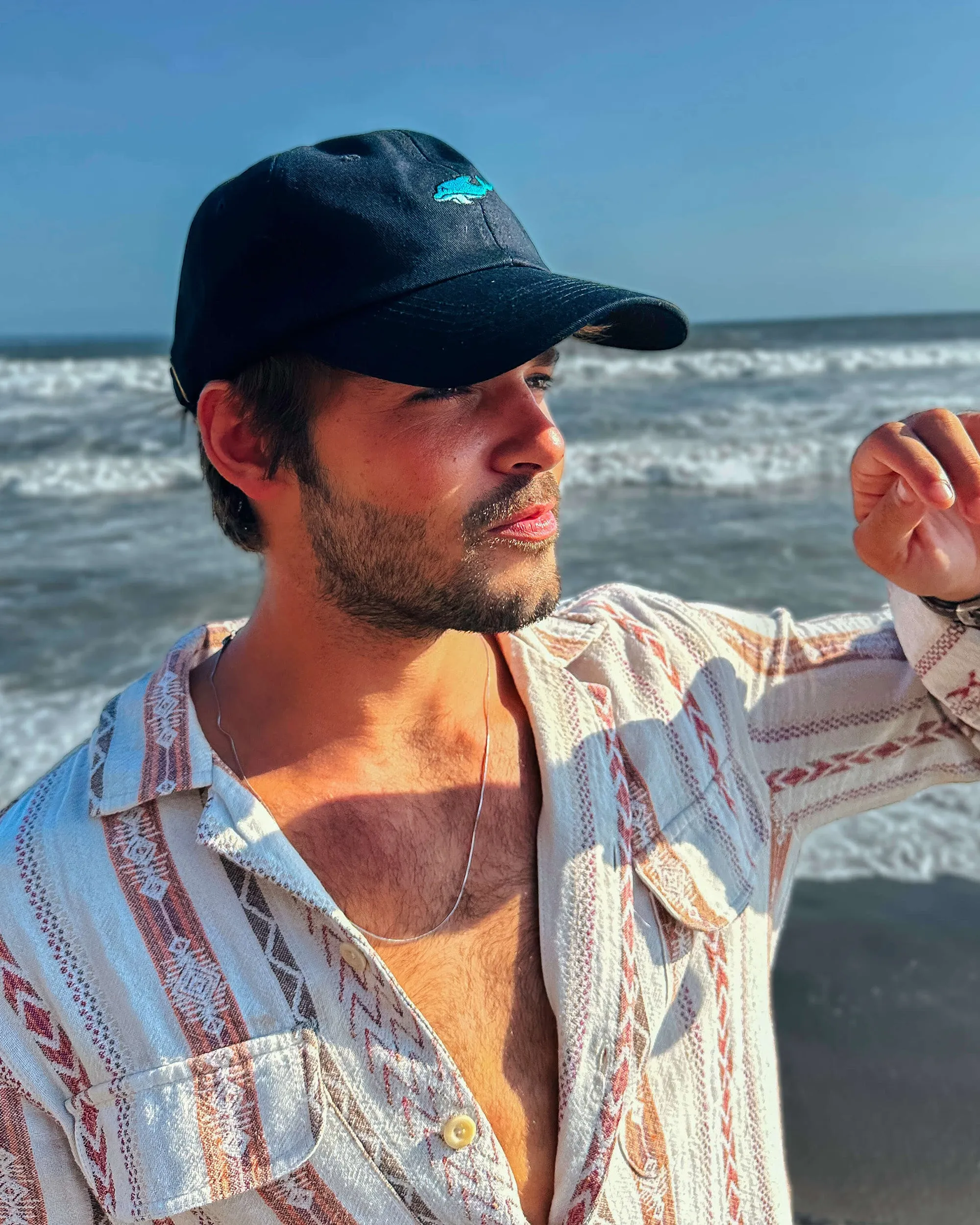 Dolphin Hat