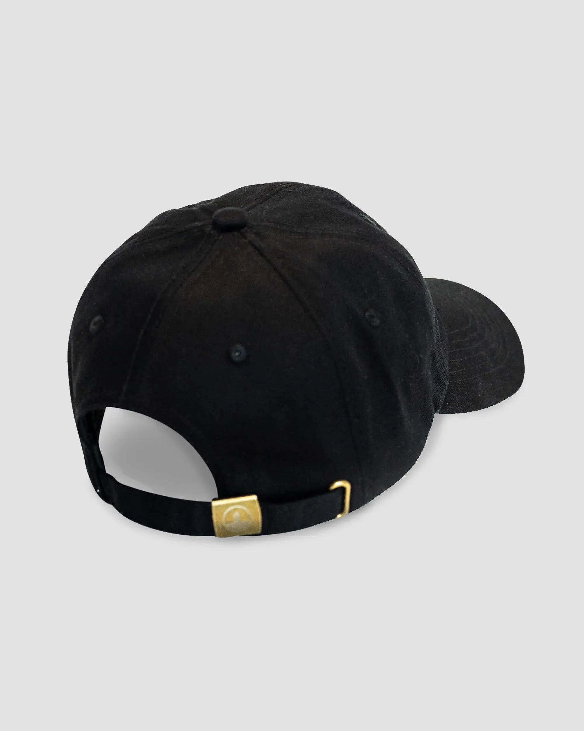 Dolphin Hat