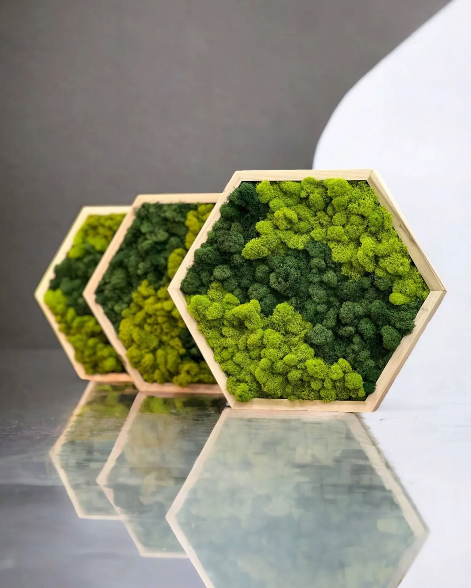 Framed Hexagon Moss Wall Art