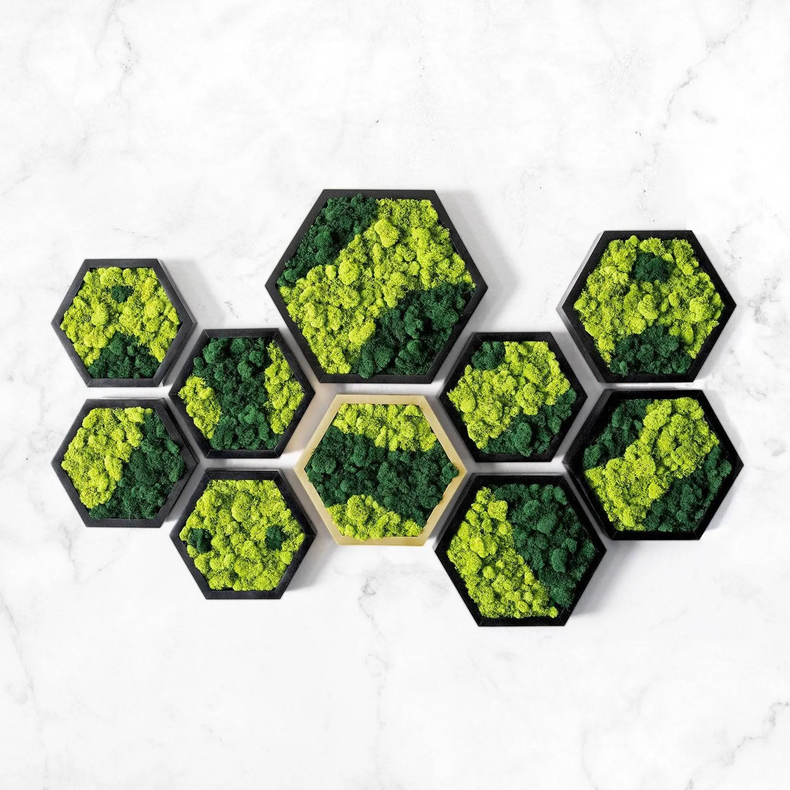 Framed Hexagon Moss Wall Art