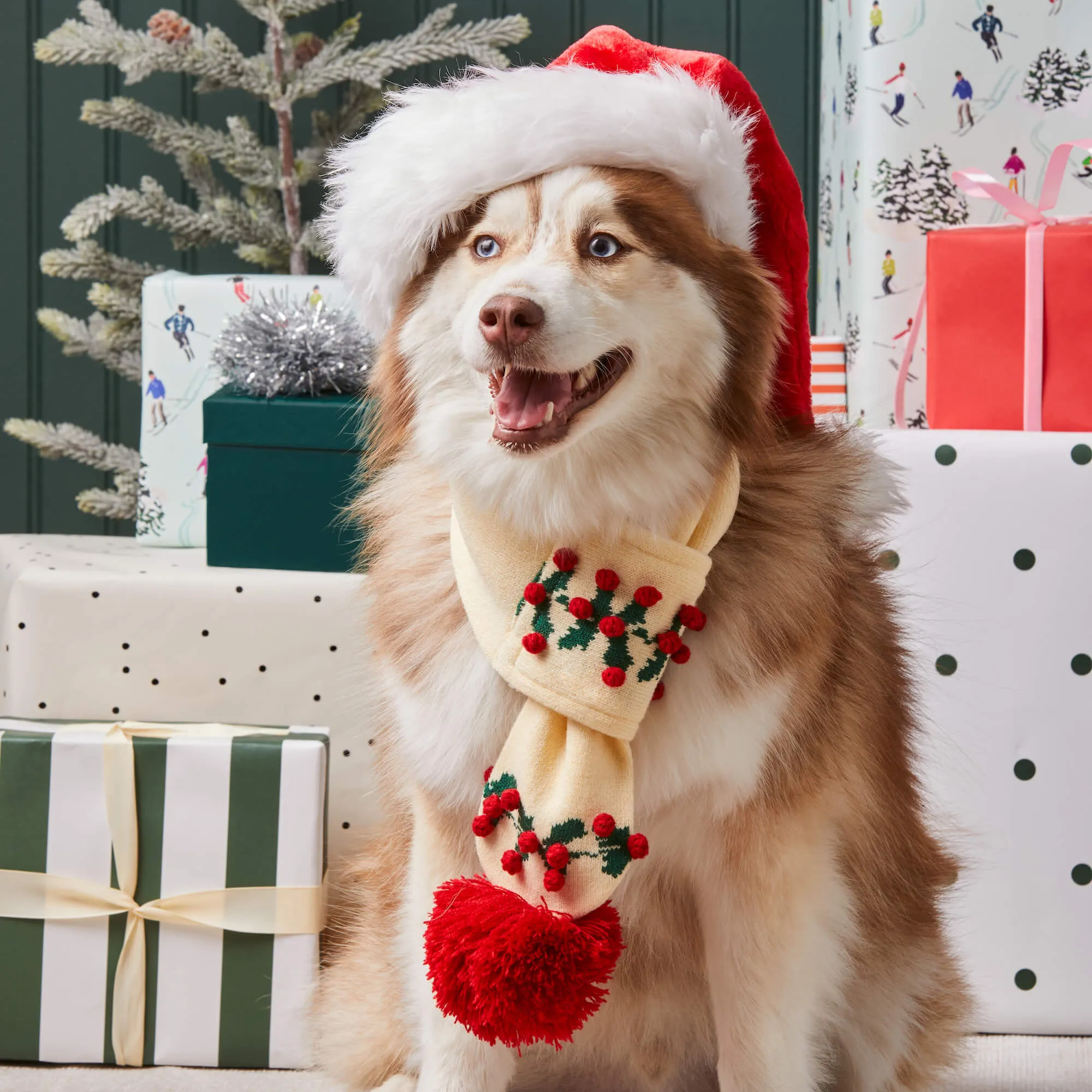 Holly Bobble Knit Dog Scarf