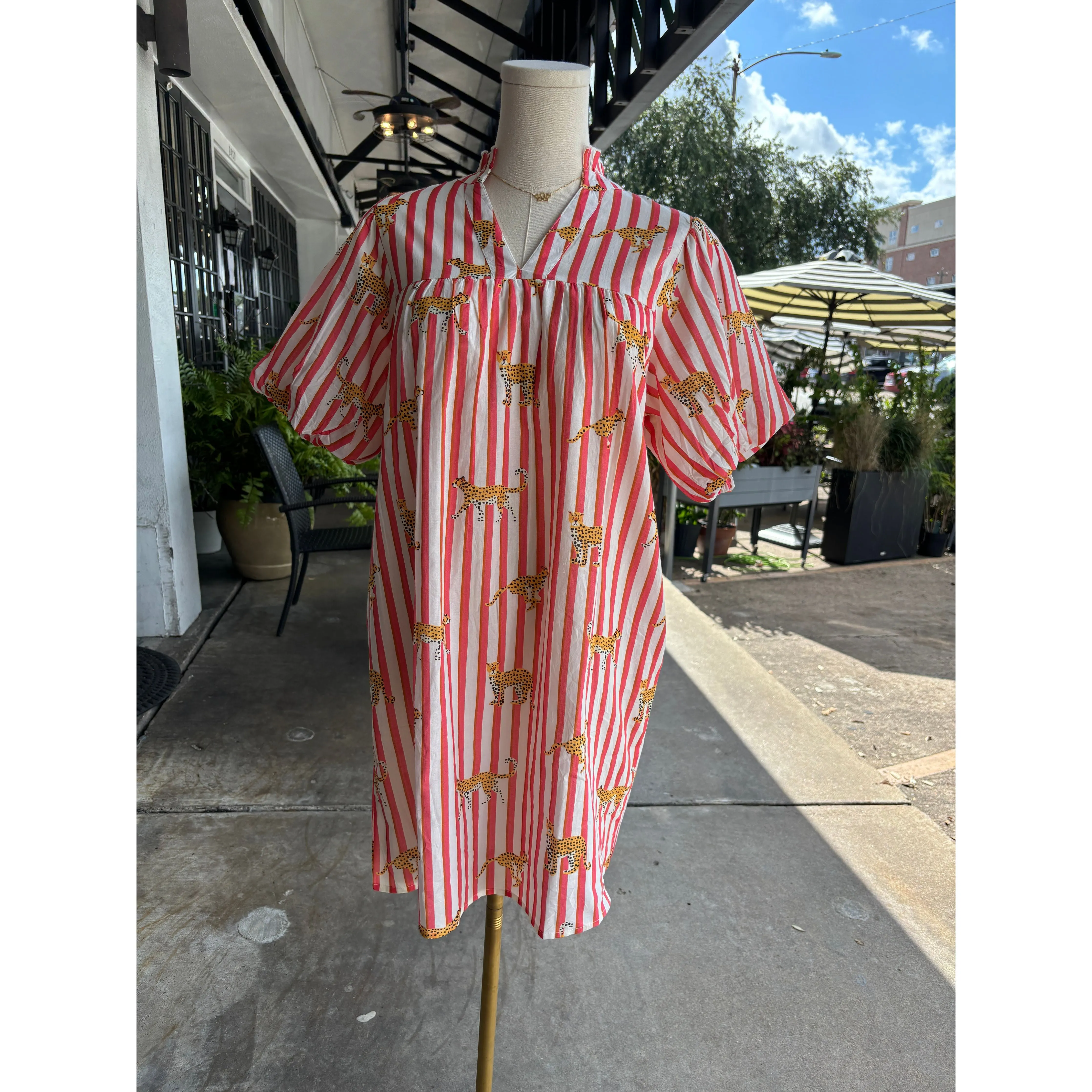 Janice Striped Cheetah Print THML Dress