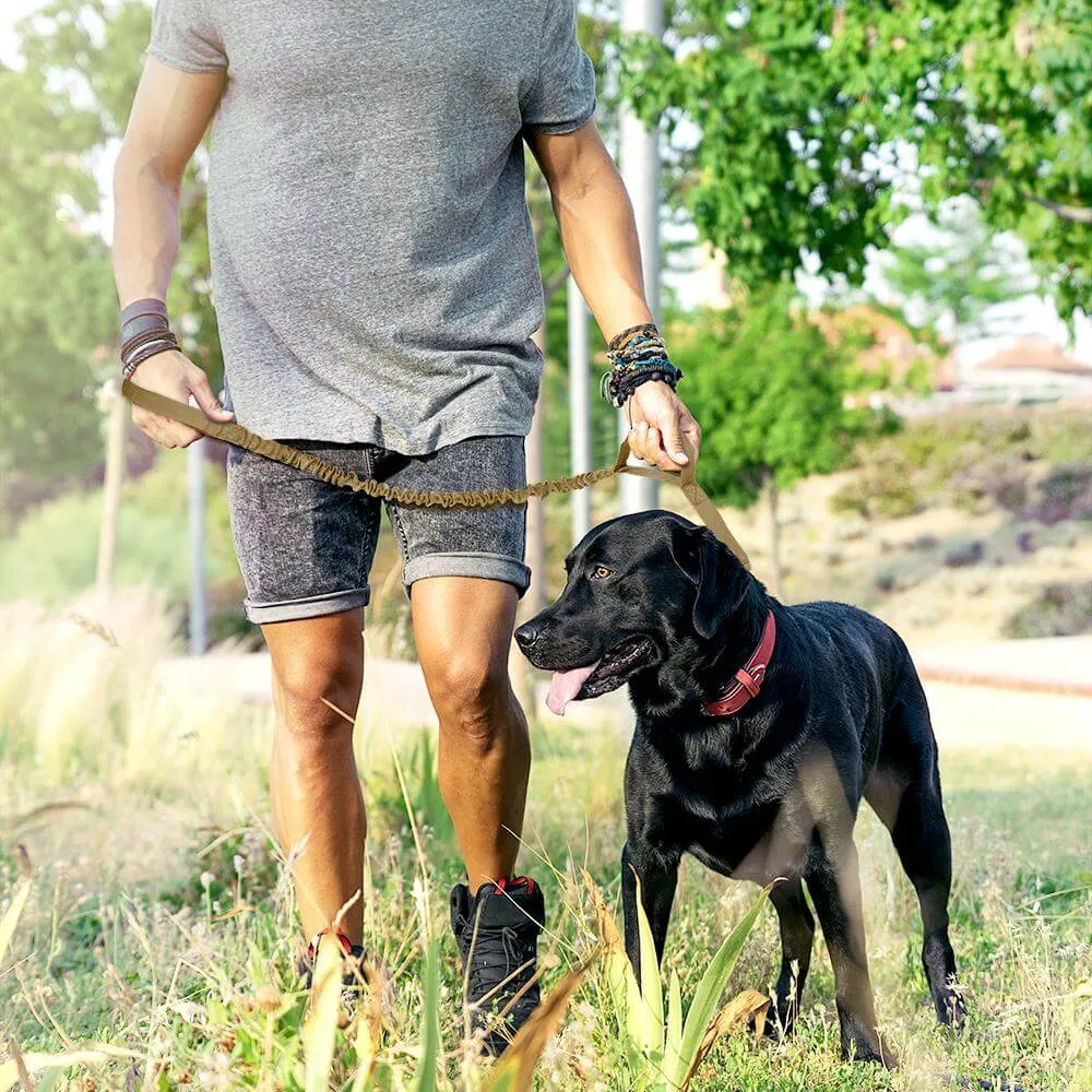 SPORTS DOG LEASH