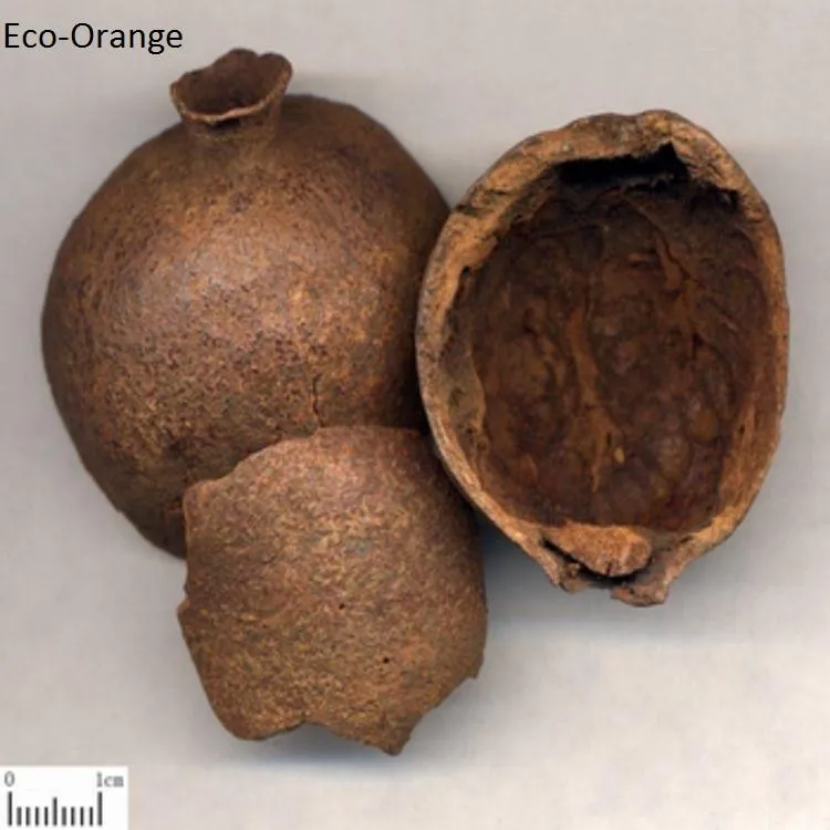 Vegetable Dye-Eco-Orange